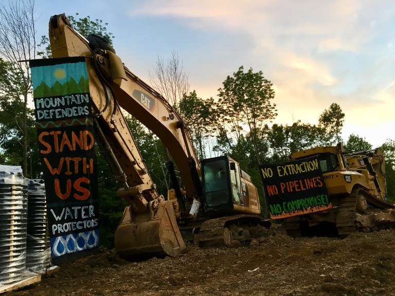 Bulldozers adorned with protest messages stand in a section of cleared forest