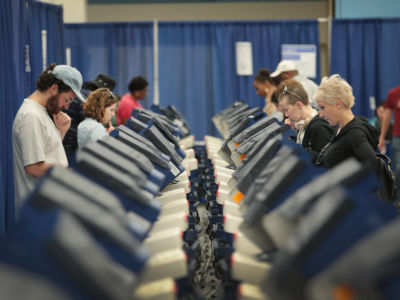 rows of people vote at blue electronic voting booths