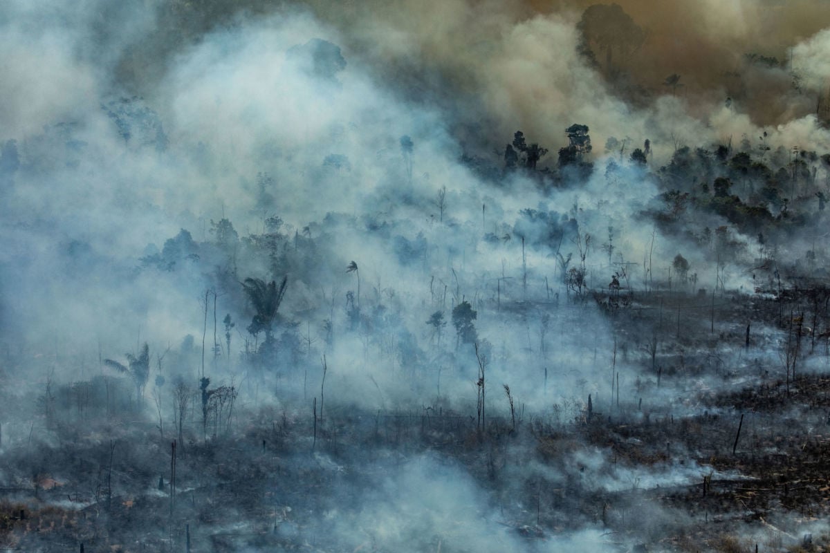 Aerial image of the Amazon burning in the Jamanxim Environmental Protection Area in the city of Novo Progresso in Pará state, Brazil.