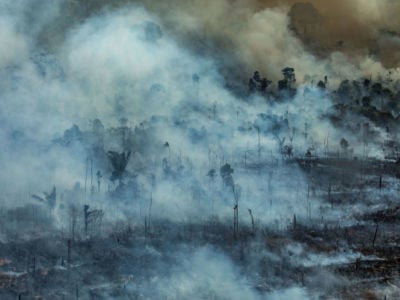 Aerial image of the Amazon burning in the Jamanxim Environmental Protection Area in the city of Novo Progresso in Pará state, Brazil.