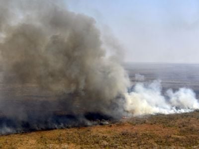 An aerial shot of a burning forest