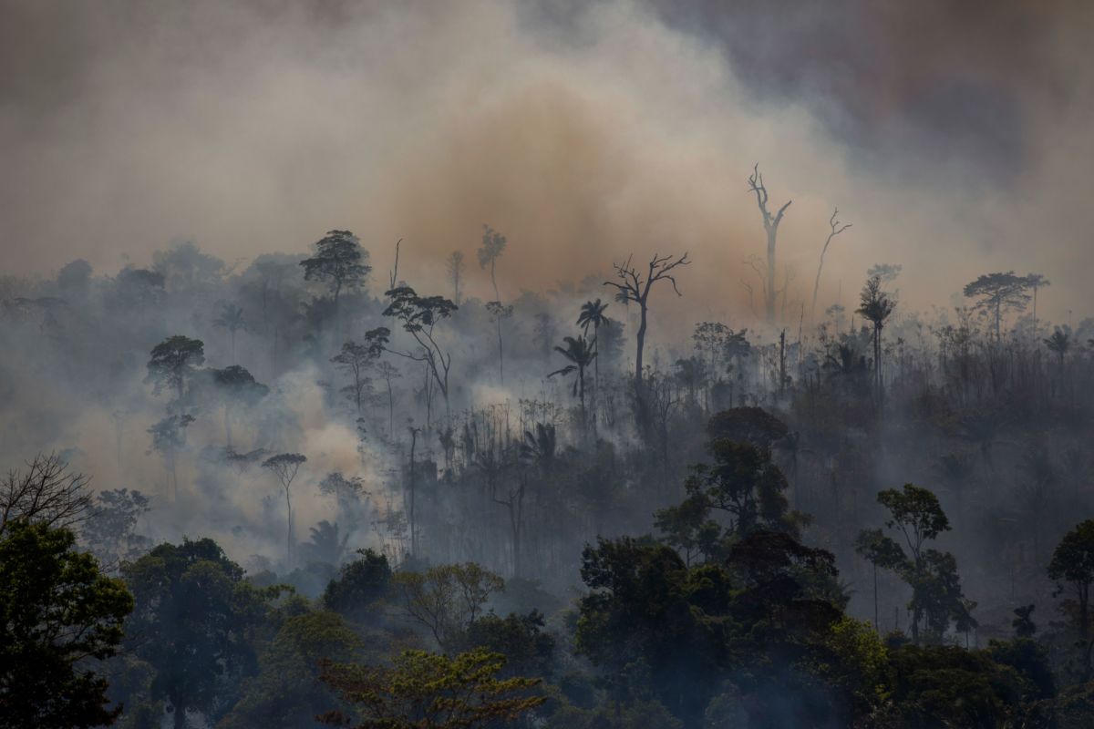 Smokes rises from forest fires in Altamira, Para state, Brazil, in the Amazon basin, on August 27, 2019.
