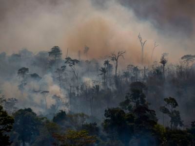 Smokes rises from forest fires in Altamira, Para state, Brazil, in the Amazon basin, on August 27, 2019.