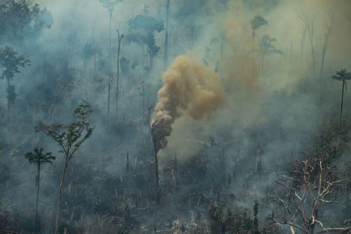 Aerial view of burned areas in the Amazon rainforest, in the city of Porto Velho, Rondônia state, Brazil.