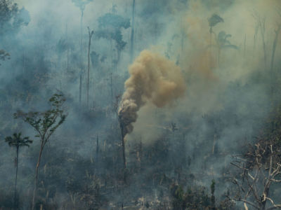 Aerial view of burned areas in the Amazon rainforest, in the city of Porto Velho, Rondônia state, Brazil.