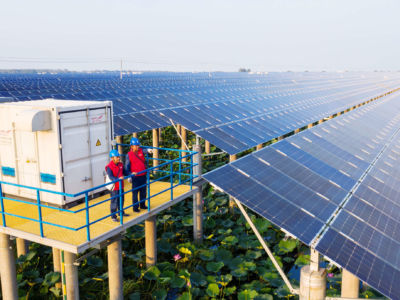 Two workers stand near long rows of solar panels