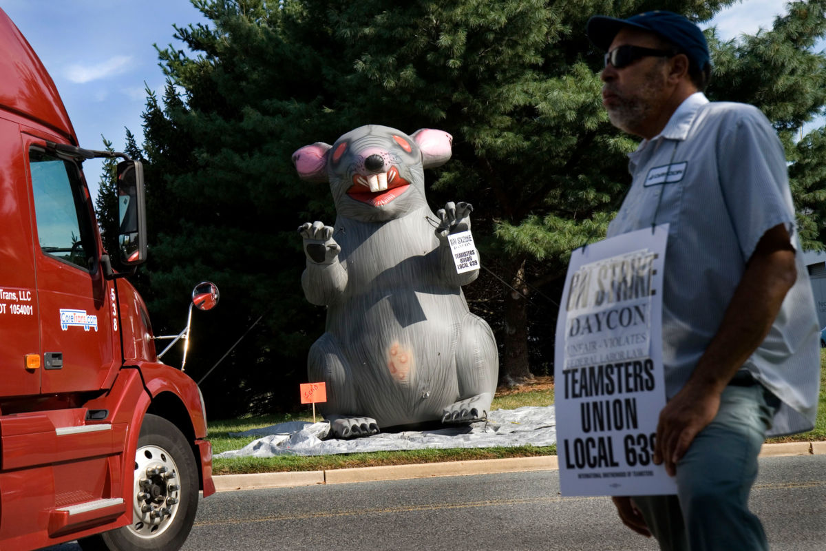 Teamster John Merritt stands near "Scabby the Rat," a well-known symbol used by labor protesters, in the Washington, D.C., area on September 17, 2010.