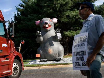 Teamster John Merritt stands near "Scabby the Rat," a well-known symbol used by labor protesters, in the Washington, D.C., area on September 17, 2010.