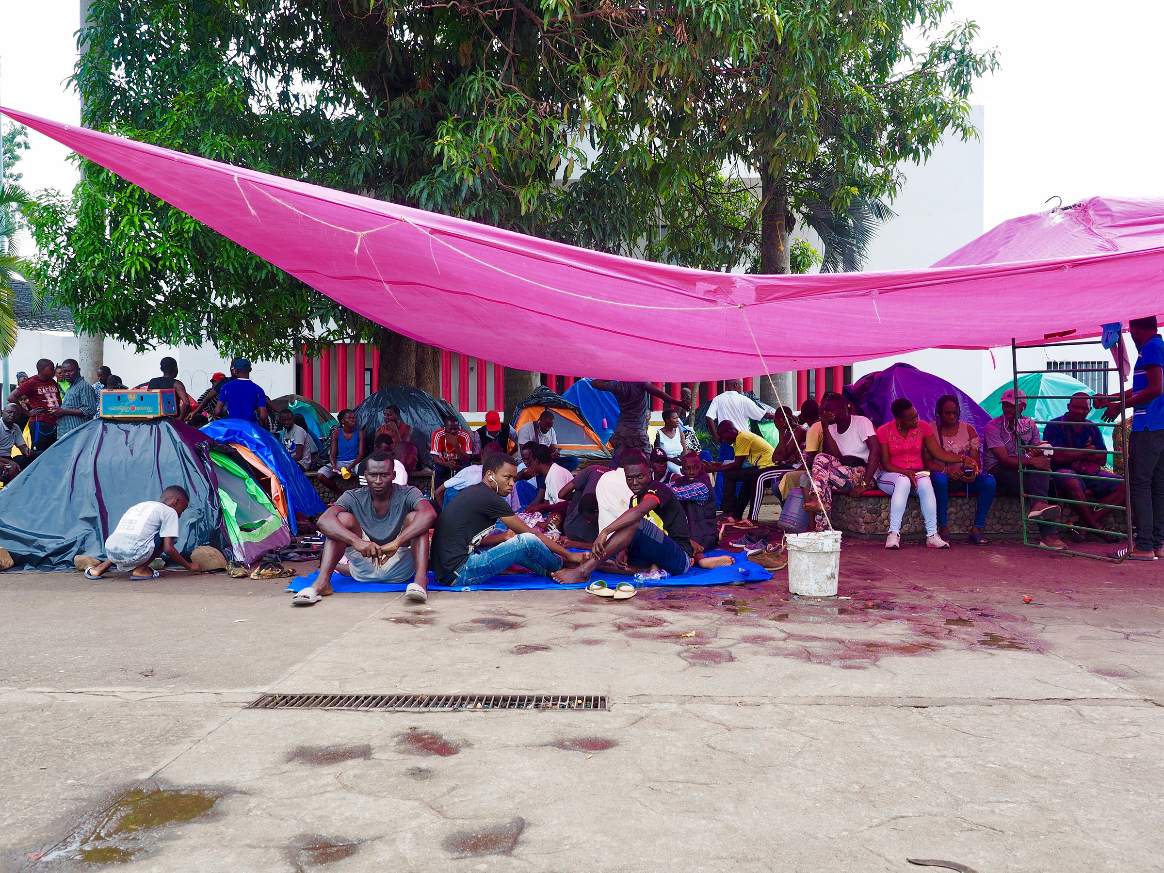 A group of migrants sit beneath a magenta tarp