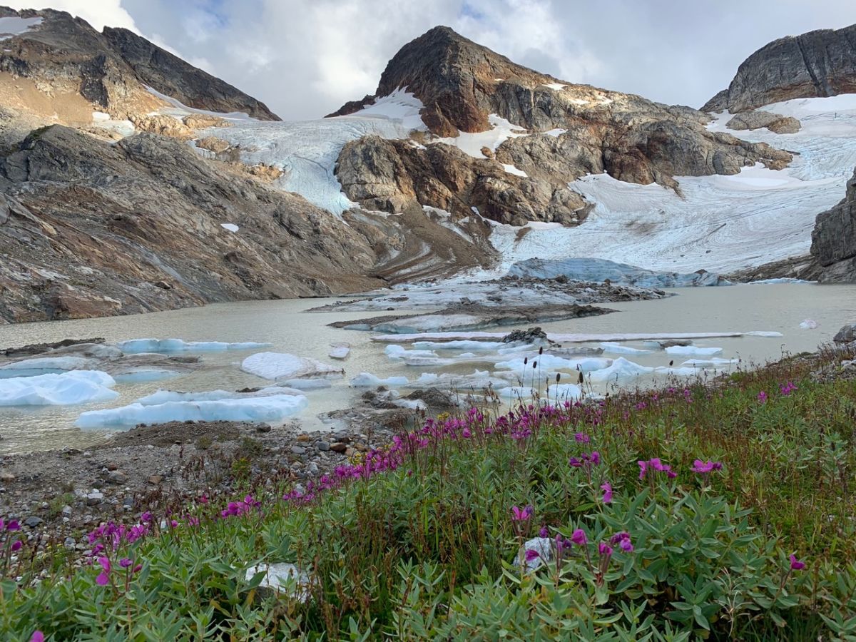 Lush greenery is seen before a lake created by a rapidly-melting glacier in the background