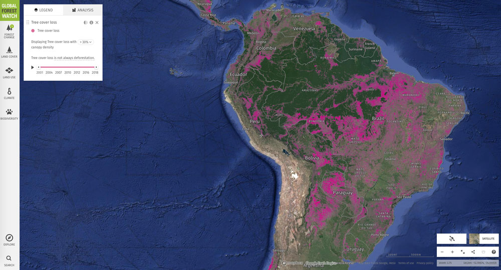 Deforestation in South America since 2001, shown in pink.