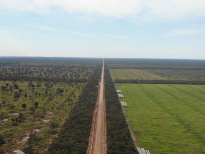 The Paraguayan Chaco, South America’s second largest forest, is rapidly disappearing as agriculture extends deeper into what was once forest. Here, isolated stands of trees remain amid the farms.