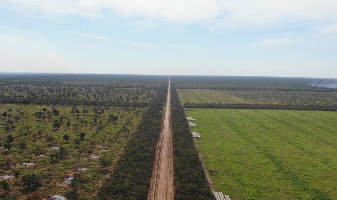 The Paraguayan Chaco, South America’s second largest forest, is rapidly disappearing as agriculture extends deeper into what was once forest. Here, isolated stands of trees remain amid the farms.