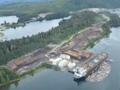 This past August, Trump announced his intention to rescind the roadless rule for Tongass, which would reopen the national forest’s 9 million protected acres, including 225,000 acres of old growth on Prince of Wales island, to logging.