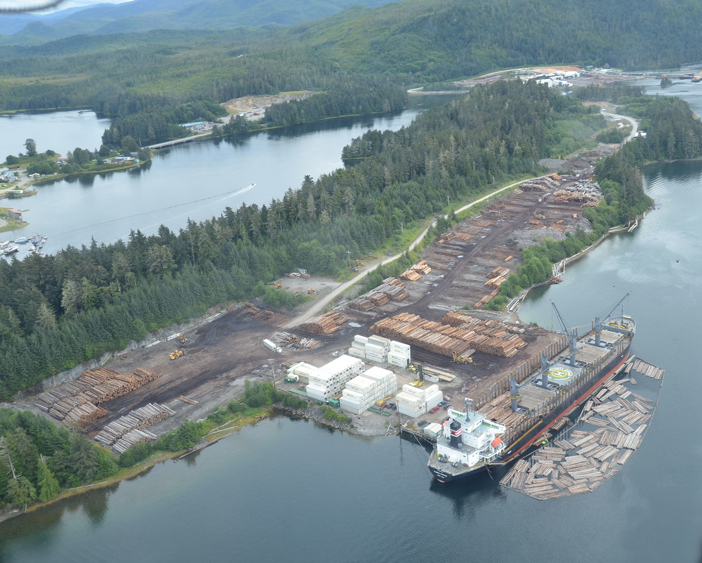 This past August, Trump announced his intention to rescind the roadless rule for Tongass, which would reopen the national forest’s 9 million protected acres, including 225,000 acres of old growth on Prince of Wales island, to logging.