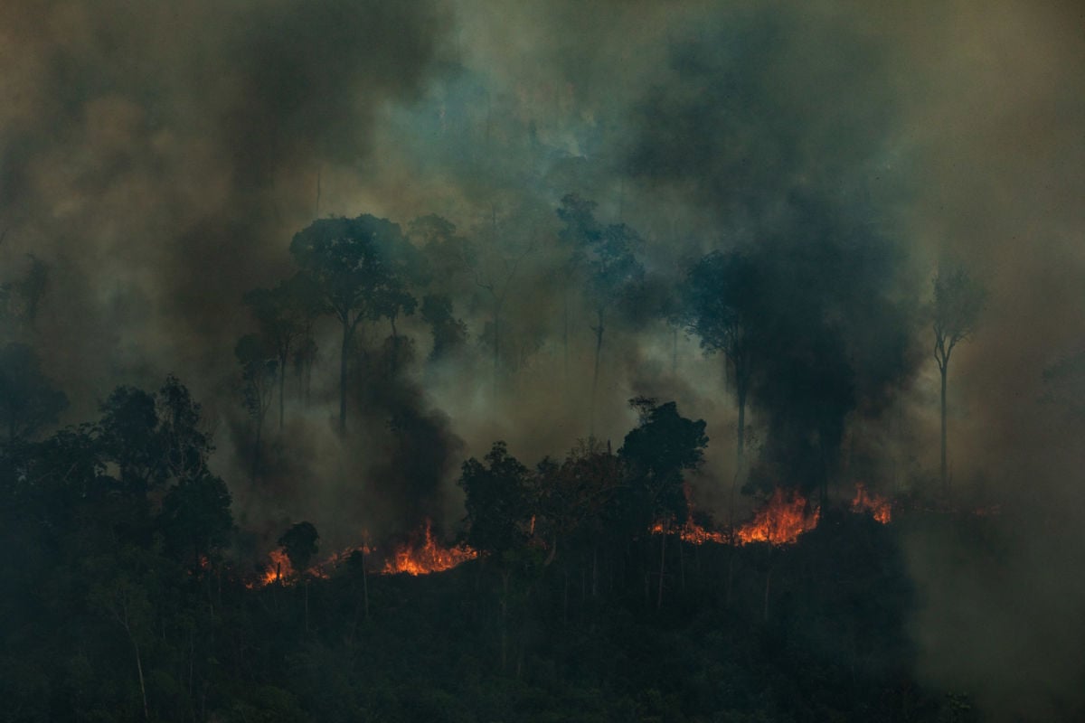 Aerial view of a large burned area in the city of Candeiras do Jamari in the state of Rondônia, Brazil.