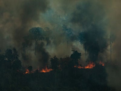 Aerial view of a large burned area in the city of Candeiras do Jamari in the state of Rondônia, Brazil.
