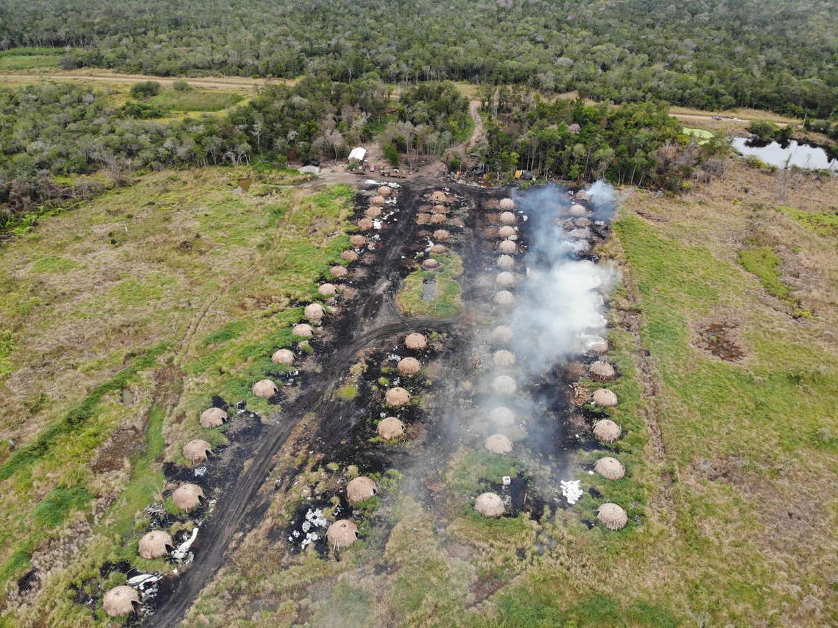 Kilns making charcoal in Paraguay’s Chaco.