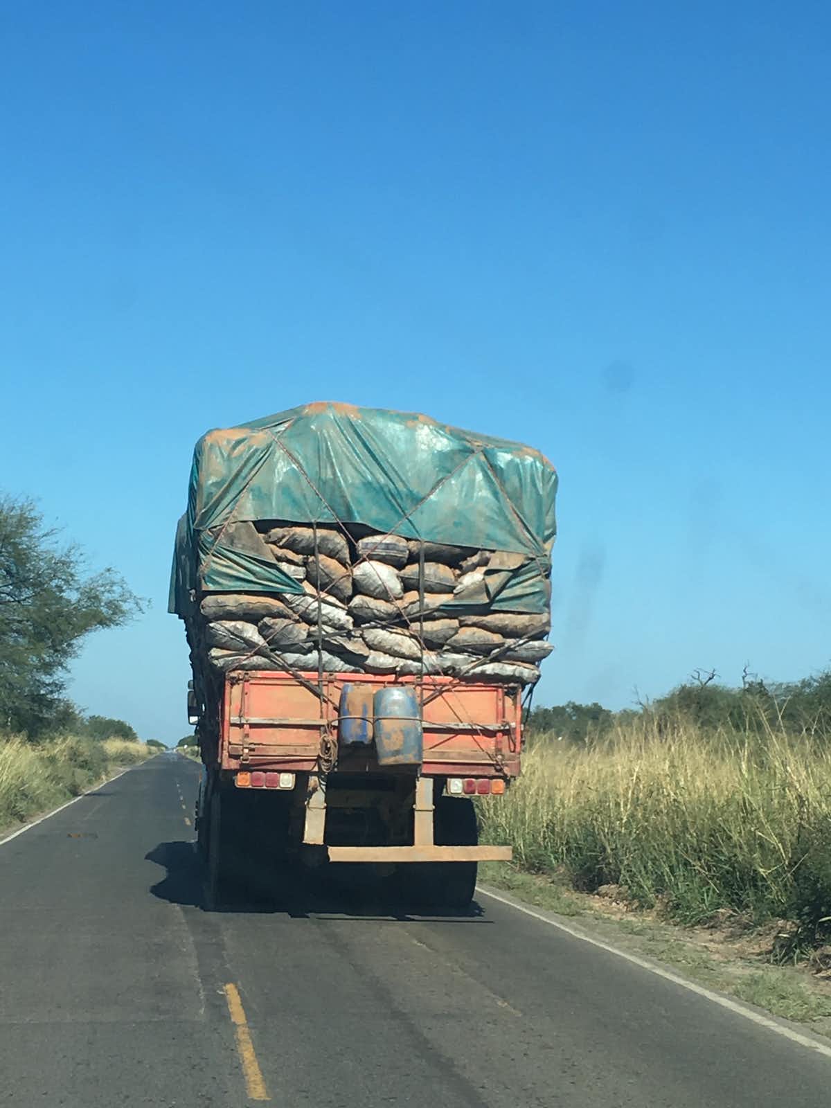 Bags of recently made charcoal being hauled through the Chaco to markets for sale.