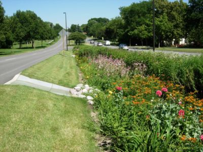 The sloping sides of a "green infrastructure" median in Greendale, Wisconsin, channel rainwater toward the plants at its center, enabling it to filter back down into the groundwater.
