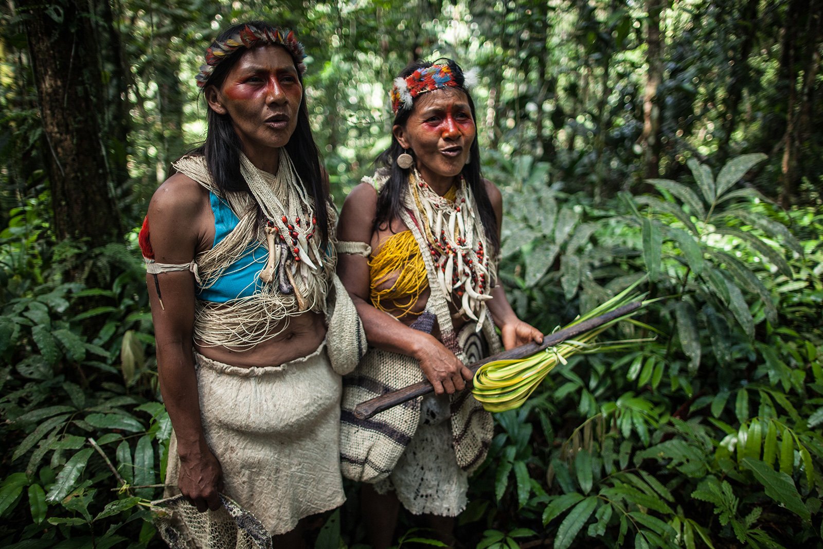 Waorani women sing in the forest in their ancestral territory in Pastaza region, Ecuadorian Amazon.