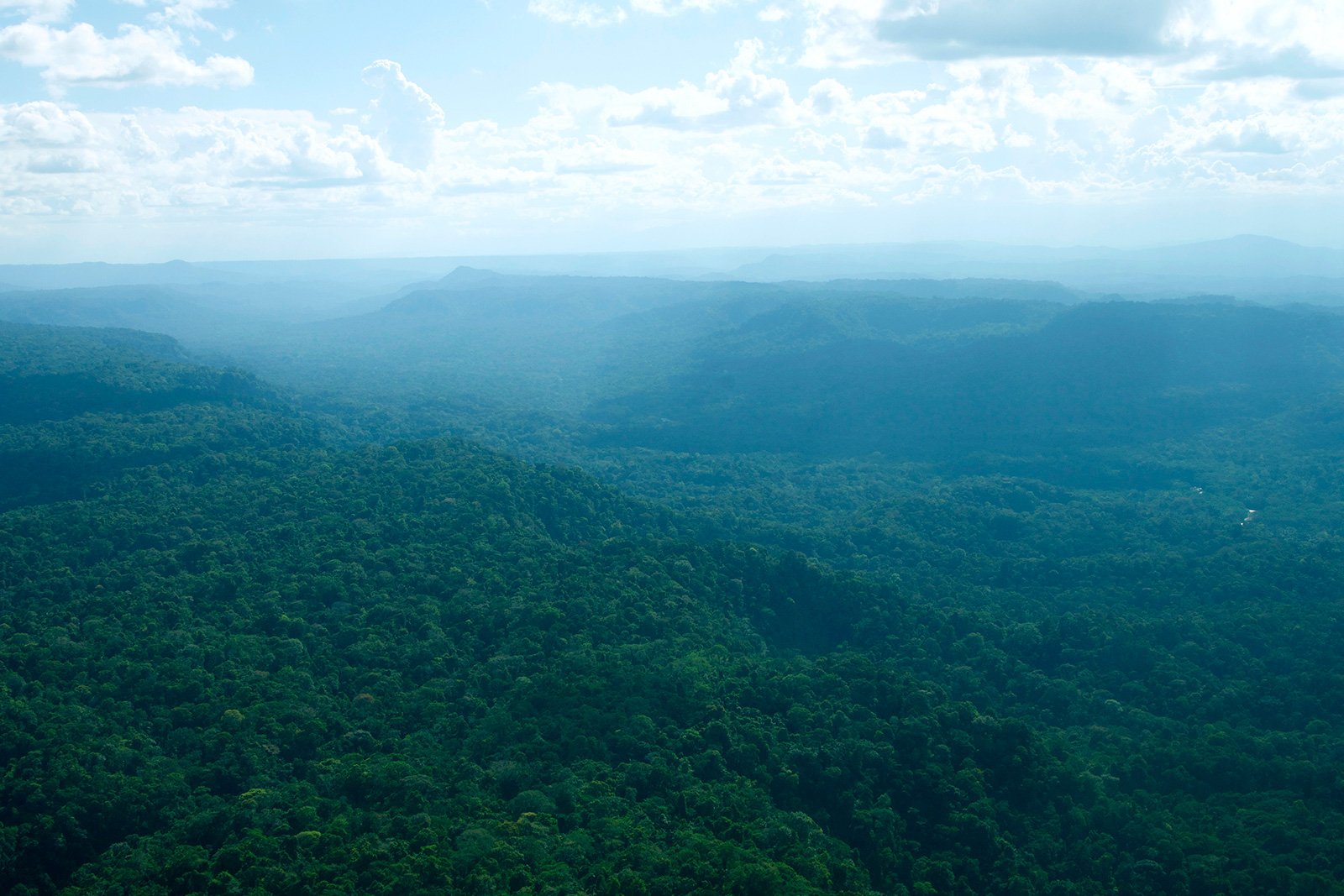 Waorani ancestral territory in the Pastaza region of Ecuadorian Amazon.