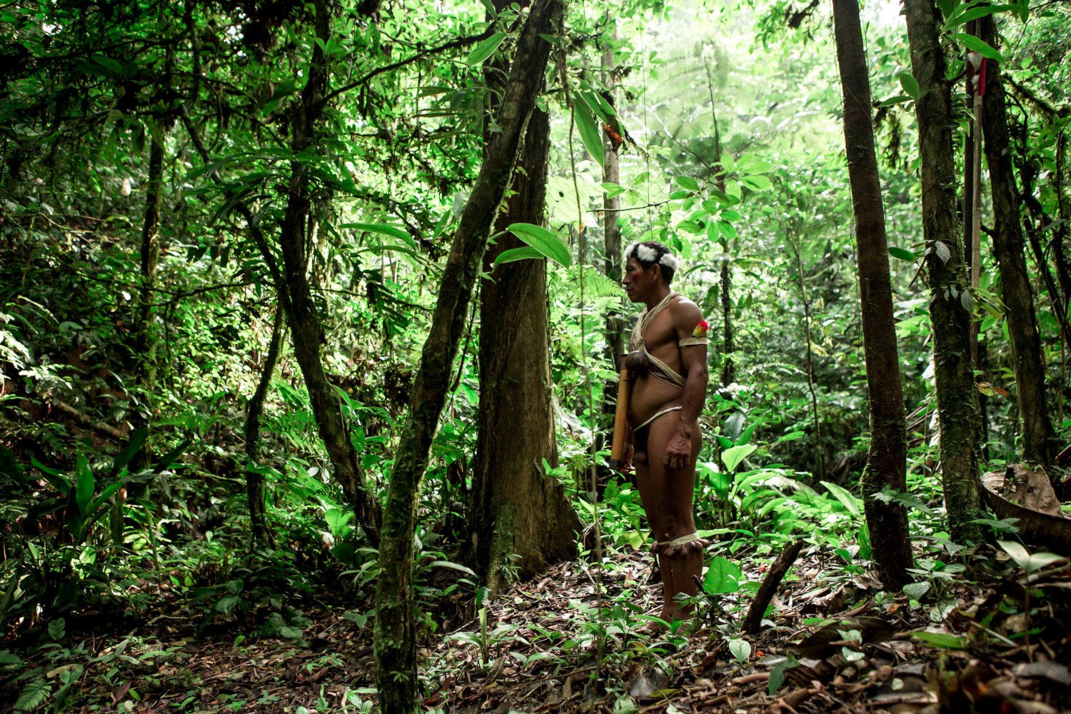 Waorani ancestral territory in the Pastaza region of Ecuadorian Amazon.