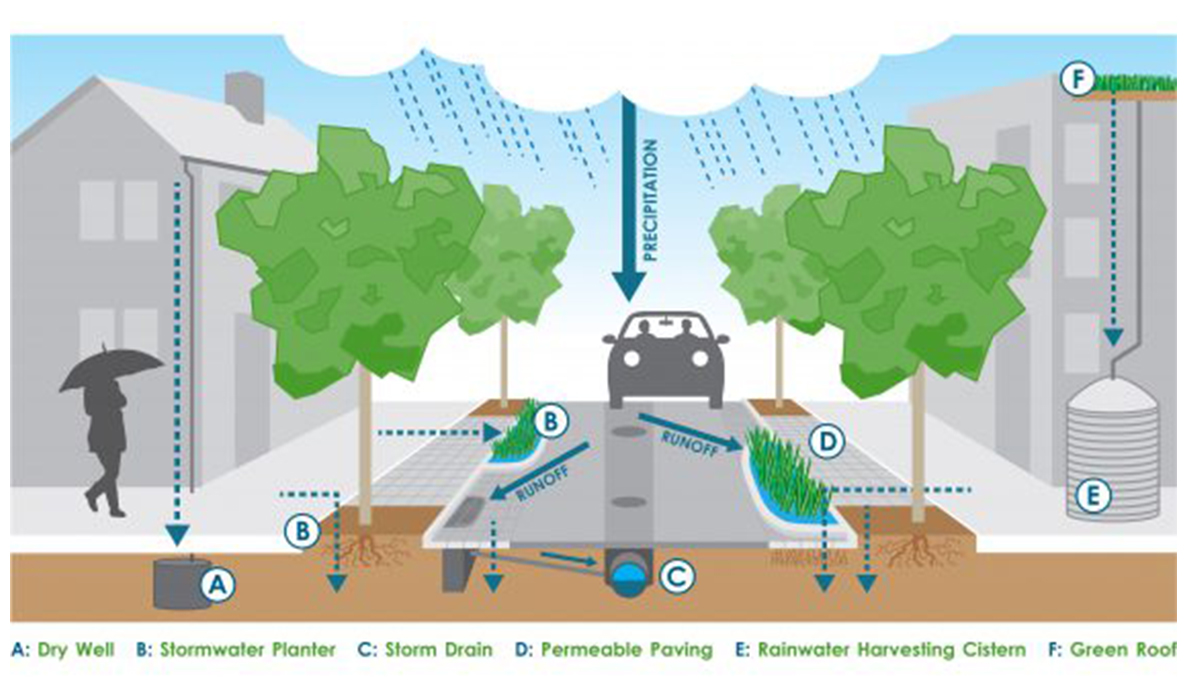 Green infrastructure can take many forms to allow water to filter into the ground in place, helping to reduce flooding and pollution.