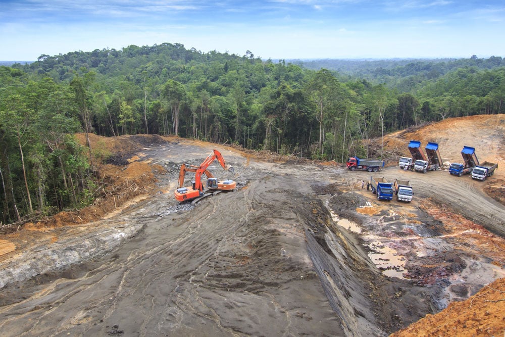 The main cause of deforestation in Indonesia is the conversion of forests into commercial plantations.