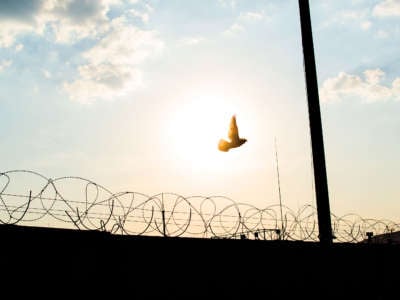 Low Angle View Of Bird And Silhouette Fence Against Sky During Sunset