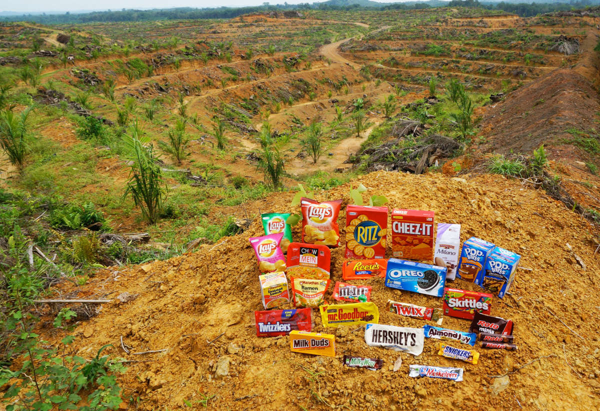 A deforested landscape stretches out to the horizon as snack foods crowd the foreground