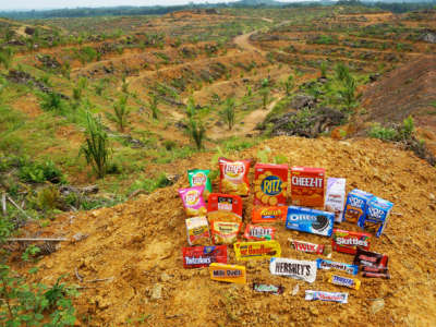 A deforested landscape stretches out to the horizon as snack foods crowd the foreground