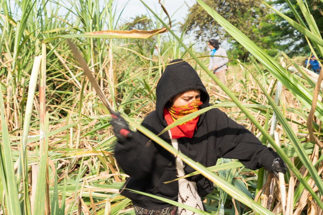 A person with a covered face walks through the brush