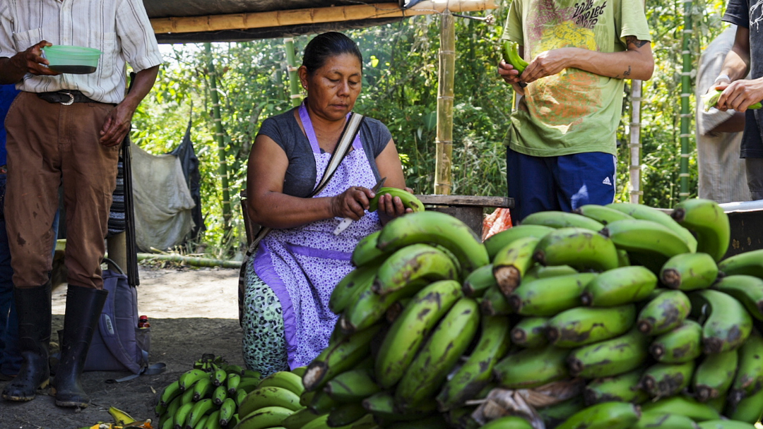 A woman prepares plantains