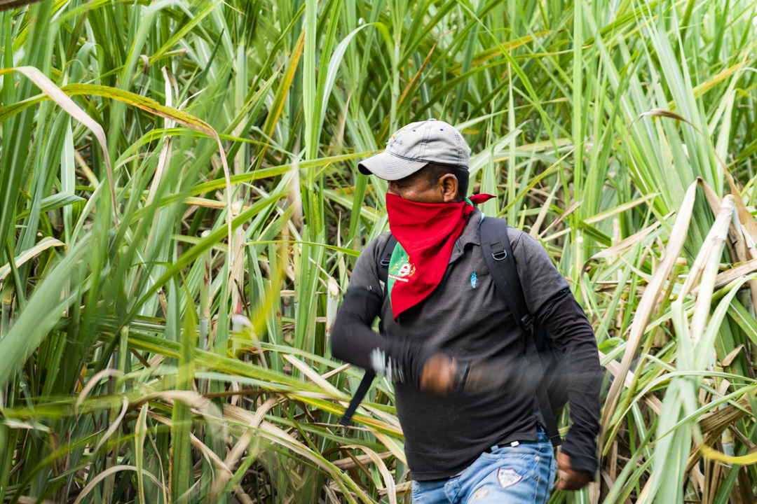 A person with a covered face walks through the brush