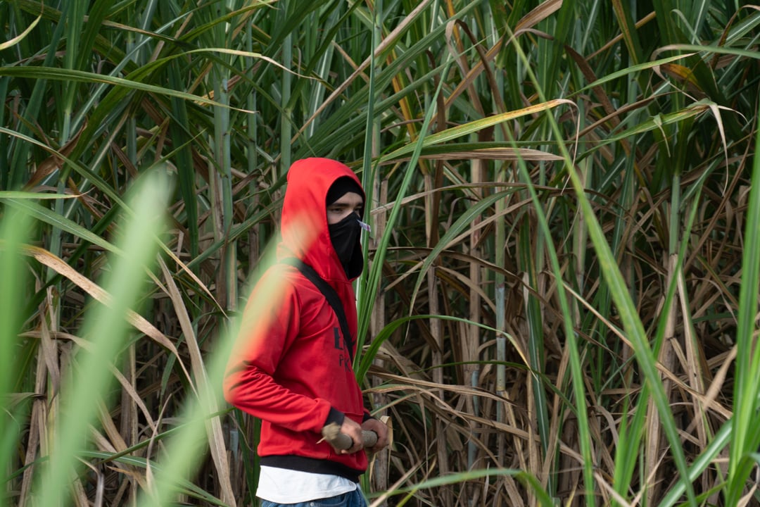 A person with a covered face walks through the brush
