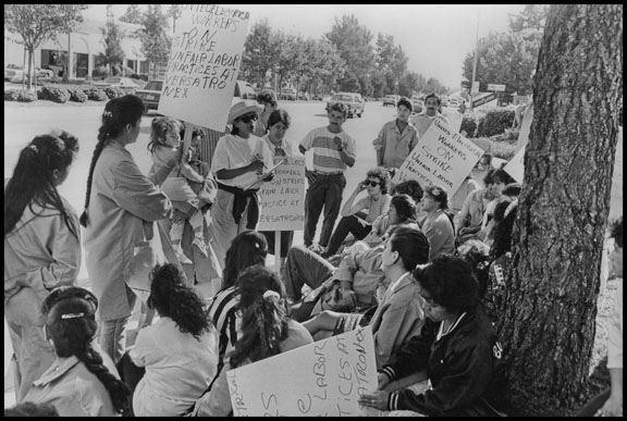In Mountain View workers at the Versatronex hi-tech assembly plant went on strike over racist treatment, in a precursor to the current workplace activism there. It started when the company fired a Salvadoran worker, Joselito Muñoz, for standing up in a company meeting and saying "Se acabo el tiempo de esclavitud," which means, "The time of slavery is over."