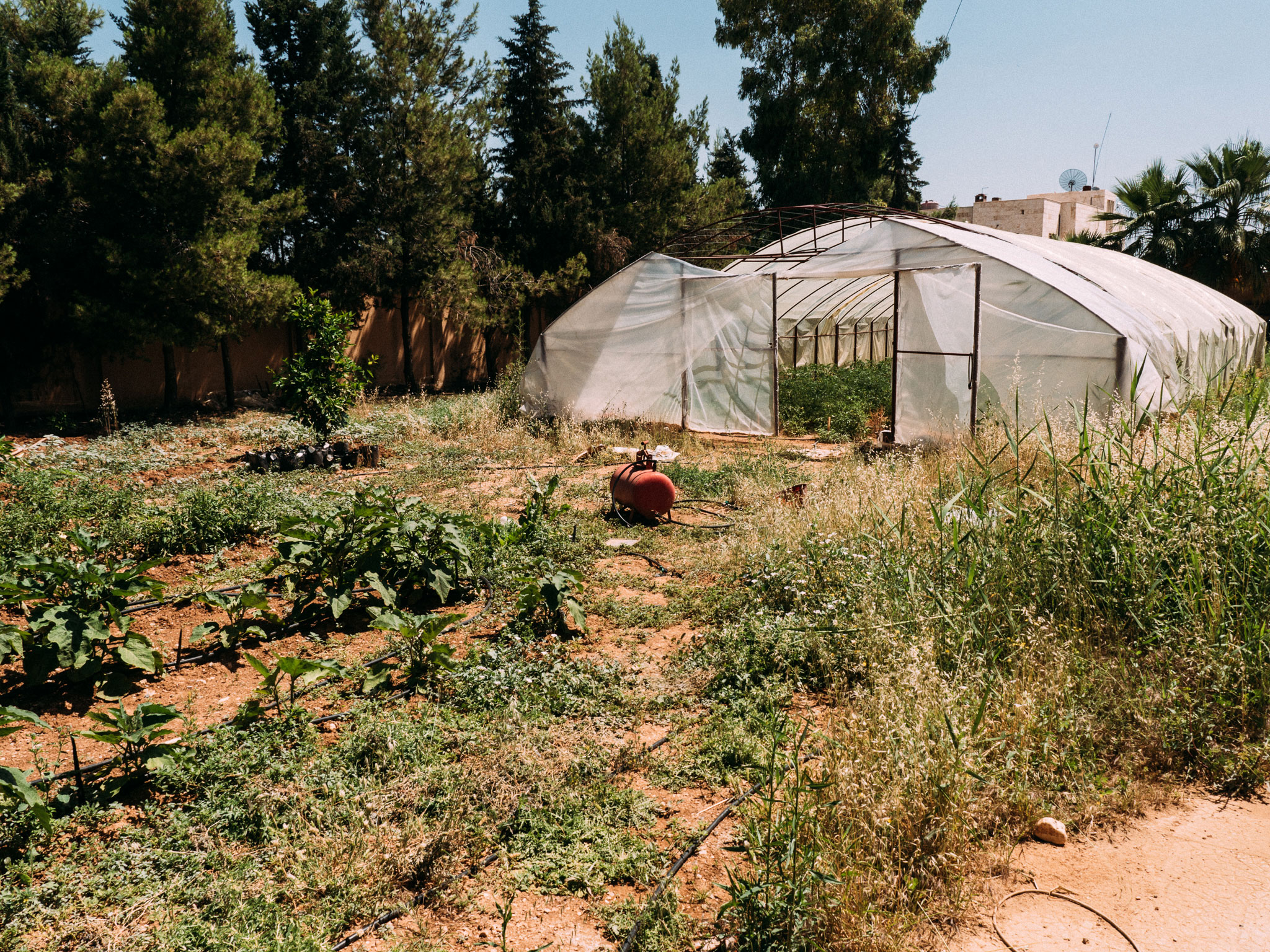 The greenhouse and garden at the agricultural faculty of Rojava University. Here, and in laboratories, they are experimenting with the growing of various crops needed in Rojava.