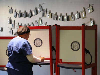 A woman votes at a booth