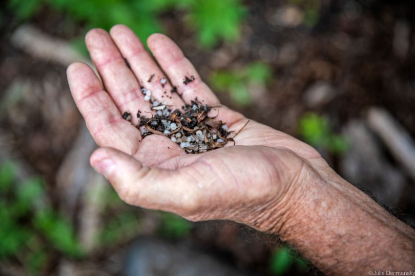 Ronnie Hamrick holds a few of the countless nurdles that litter the banks of Cox Creek near Formosa’s Point Comfort facility.