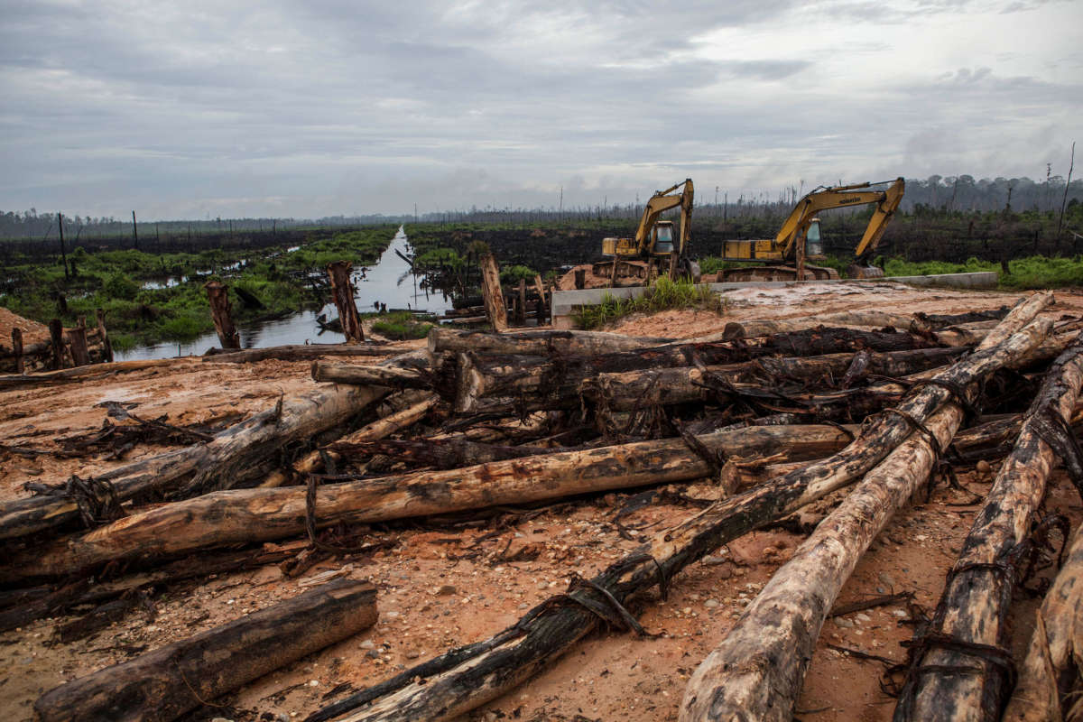 Excavators are seen at a land clearing area in Pelalawan district on July 12, 2014, in Riau province, Sumatra, Indonesia.