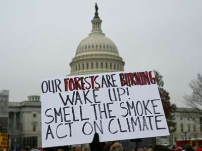 A person hoists a poster in front of the U.S. Capitol during climate protest in Washington, D.C., on December 27, 2019.