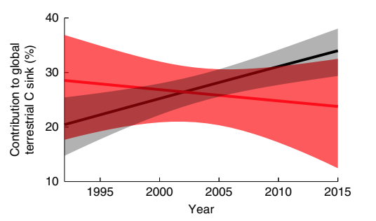 The contribution of boreal (black) and tropical (red) forests to the land carbon sink from 1992-2015. The shadow areas show margins of uncertainty.