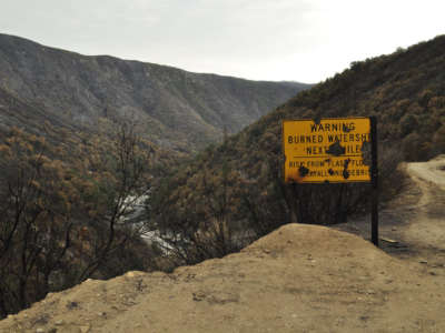 The Rim Fire burned 256,000 acres of the Stanislaus National Forest and Yosemite National Park in 2013.