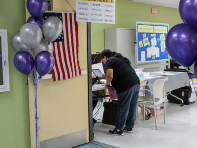 Edelmira Mancia, 63, looks up her voter registration information to obtain a ballot.