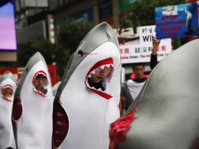 People in bloodied shark costumes march through the streets in protest