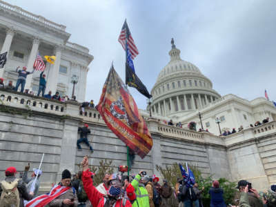 Trump supporters breach the Capitol in support the President's false and baseless claims that he won the election on January 6, 2021, in Washington D.C.