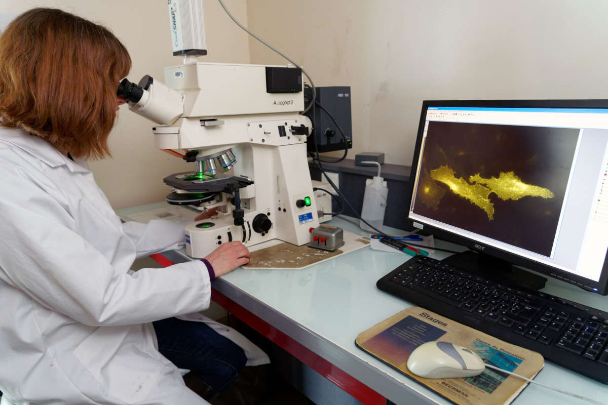 Sandrine Belouzard, virologist and researcher, uses an electron microscope to look at infected cells as she works in her epidemiology laboratory of the "Infection and Imminence Center" at the Pasteur Institute of Lille on February 17, 2020, in Lille, France.