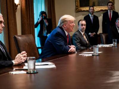 President Trump meets with supply chain distributors in reference to the COVID-19 coronavirus pandemic, in the Cabinet Room in the West Wing at the White House on March 29, 2020.