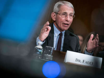 Anthony Fauci, director of the NIH National Institute of Allergy and Infectious Diseases, testifies before the Senate Health, Education, Labor and Pensions Committee on March 3, 2020, in Washington, D.C.